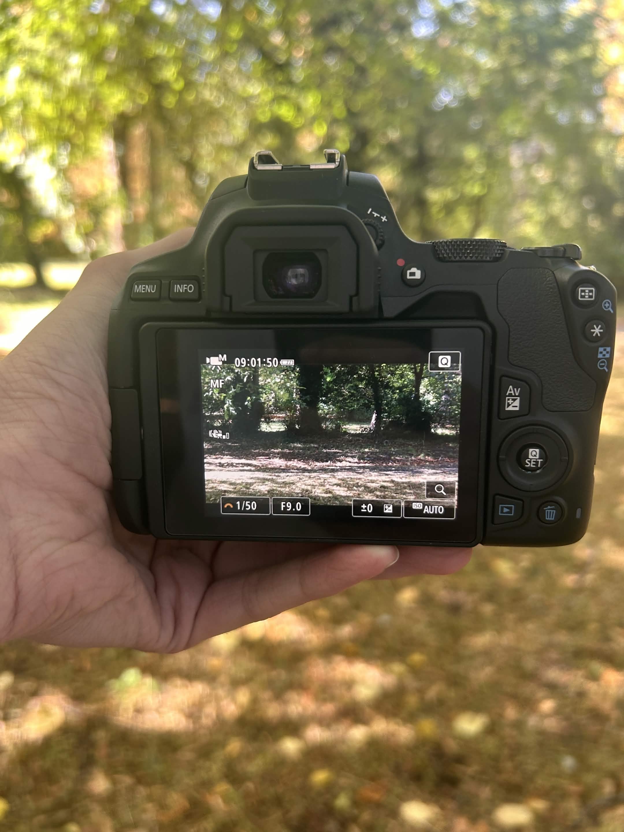 Nature